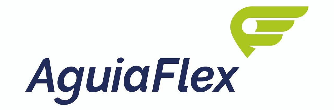 Logo da empresa ÁGUIA FLEX